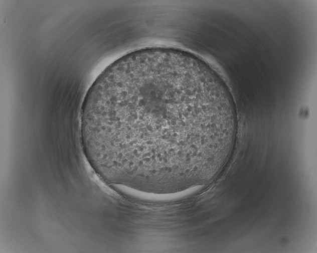 X0000114611287200911171026