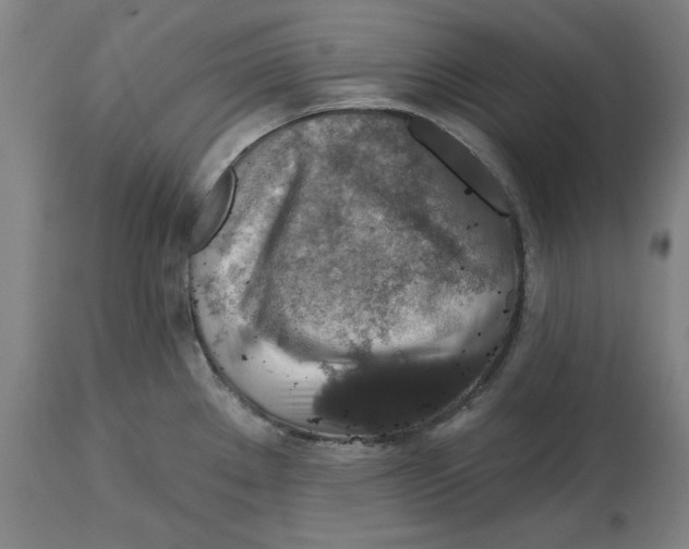 X0000114611289200911171026