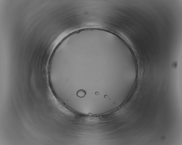 X0000114611291200911171026