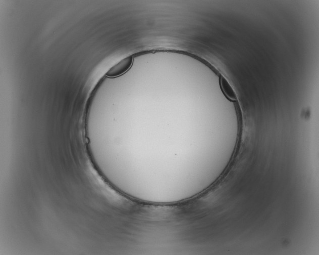 X0000114611293200911171026