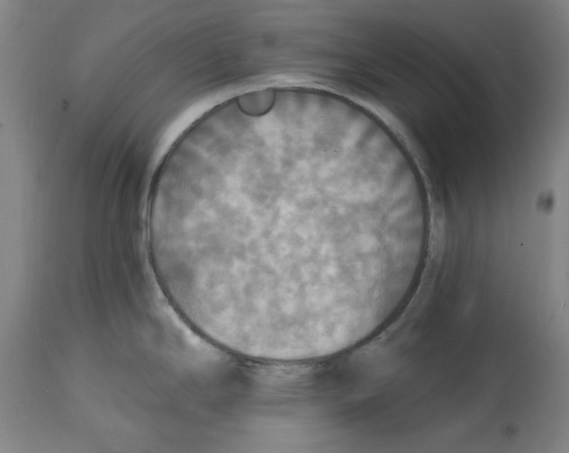 X0000114611294200911171026