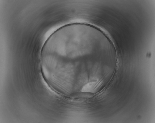 X0000114611295200911171026