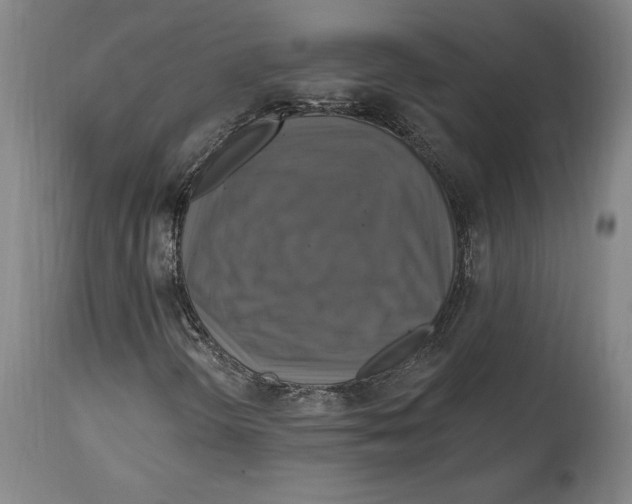 X0000114611298200911171026