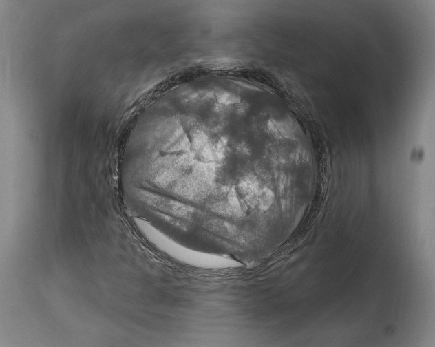 X0000114611301200911171026