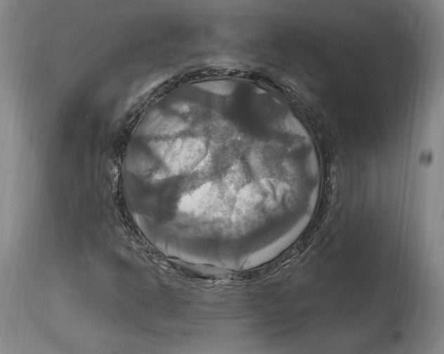 X0000114611302200911171026