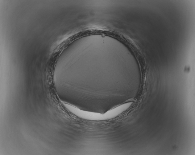 X0000114611303200911171026