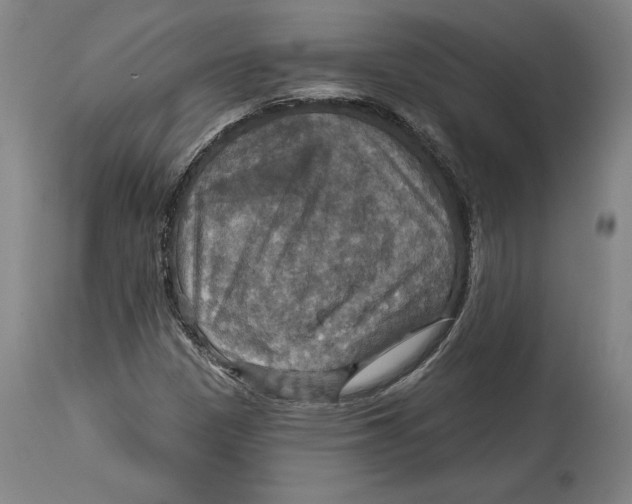 X0000114611305200911171026