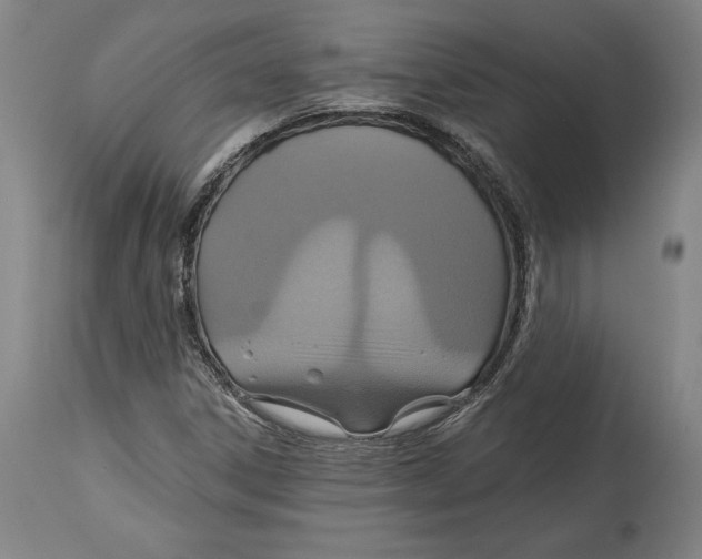 X0000114611306200911171026