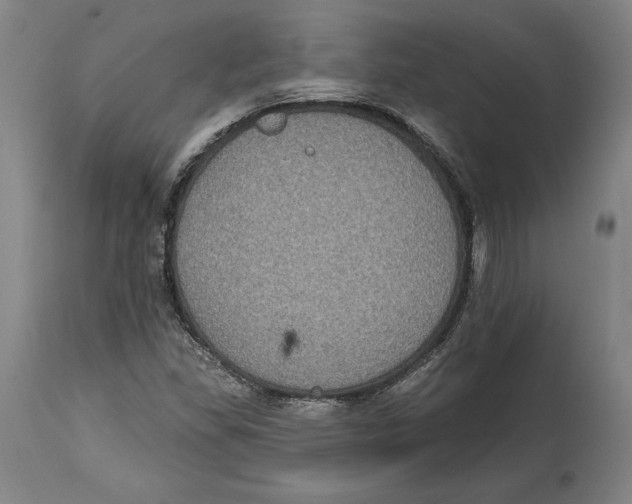 X0000114611309200911171026