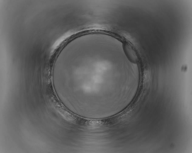 X0000114611310200911171026