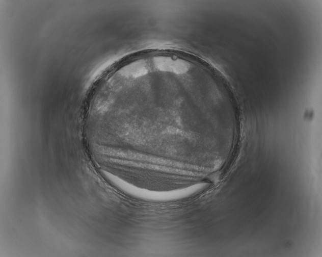 X0000114611311200911171026