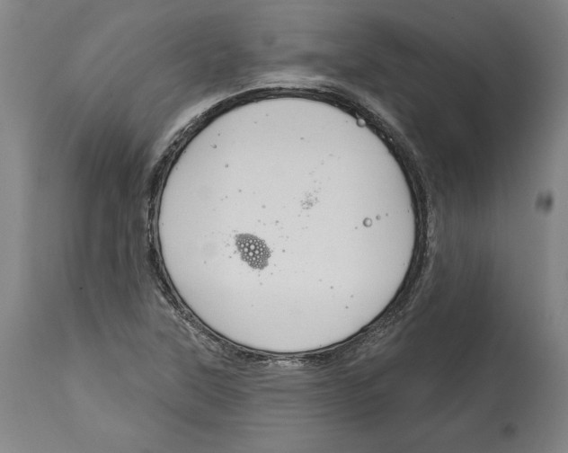 X0000114611315200911171026