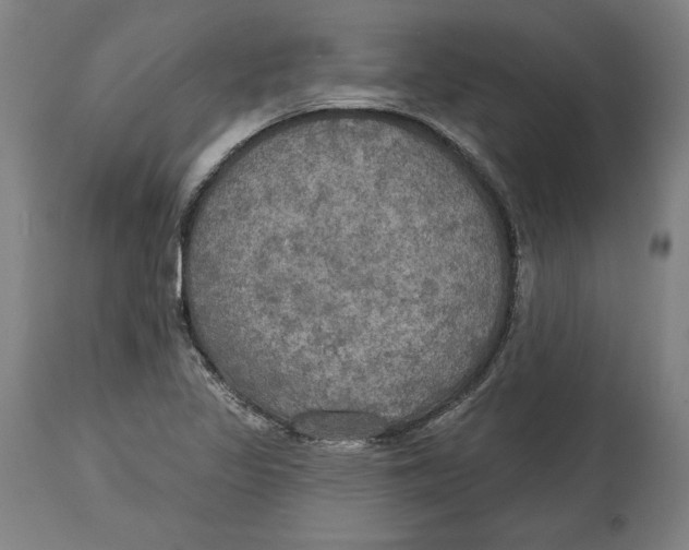 X0000114611317200911171026