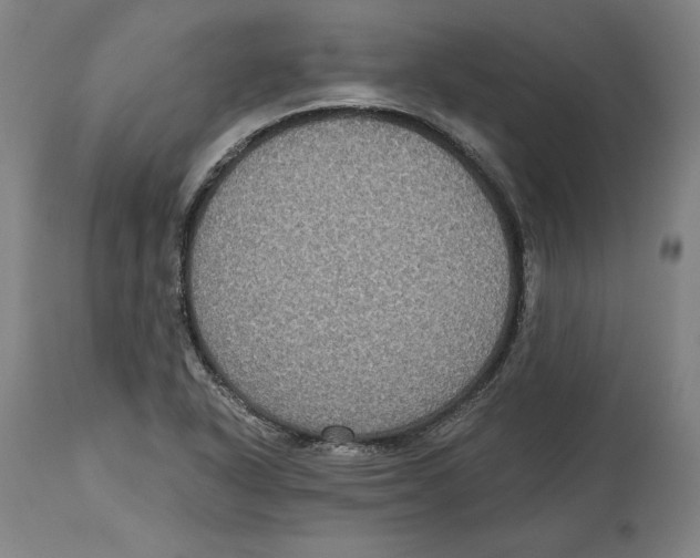 X0000114611318200911171026