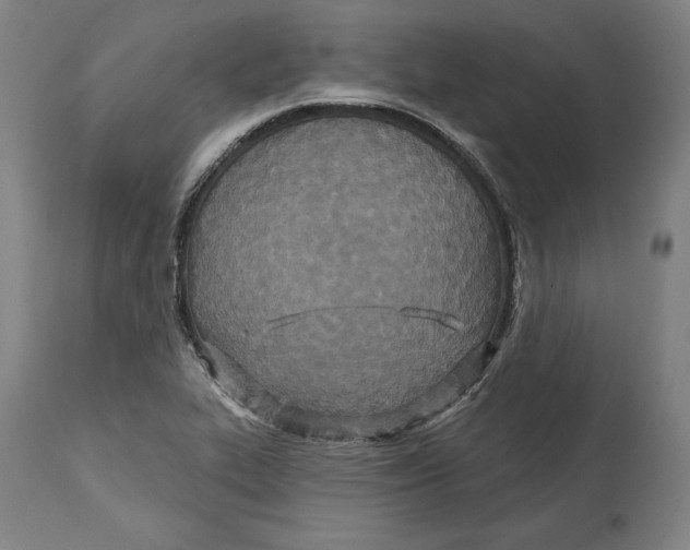 X0000114611319200911171026