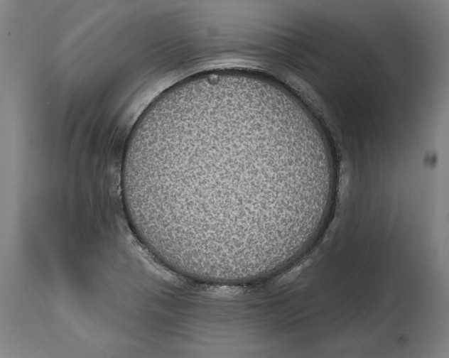 X0000114611321200911171026