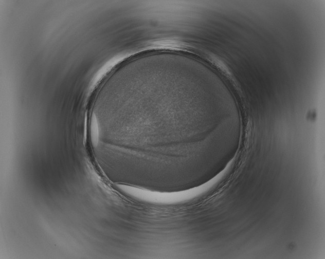 X0000114611323200911171026