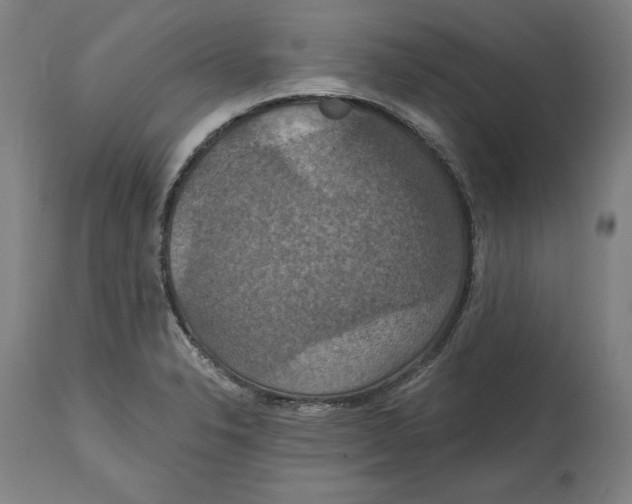 X0000114611326200911171026