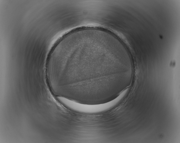 X0000114611327200911171026