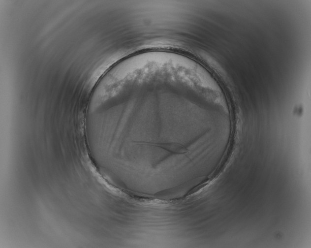 X0000114611329200911171026