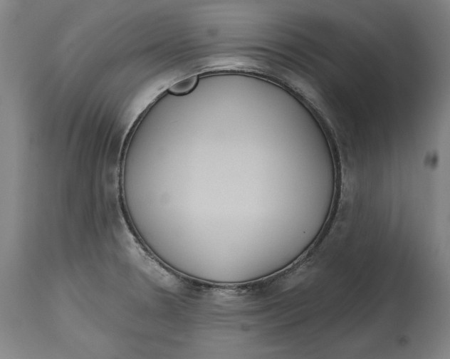 X0000114611330200911171026