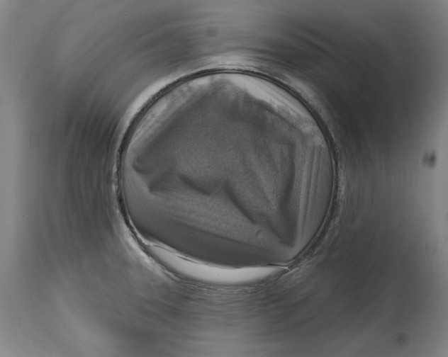 X0000114611331200911171026