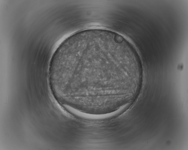 X0000114611333200911171026