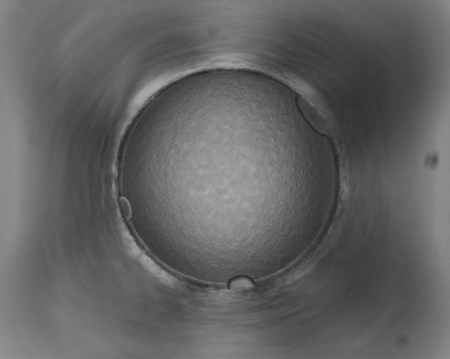 X0000114611334200911171026