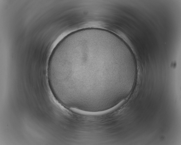 X0000114611339200911171026