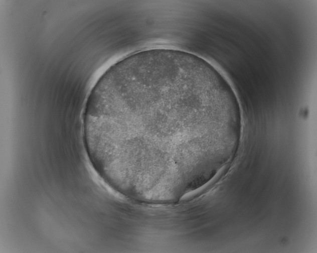 X0000114611341200911171026