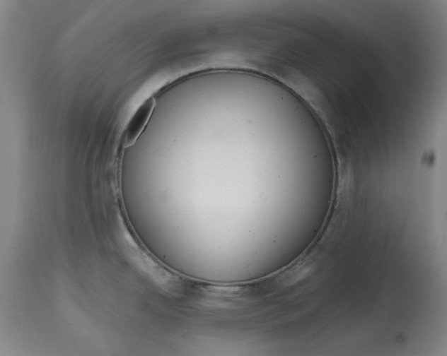 X0000114611342200911171026