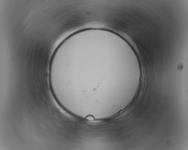 X0000114611343200911171026