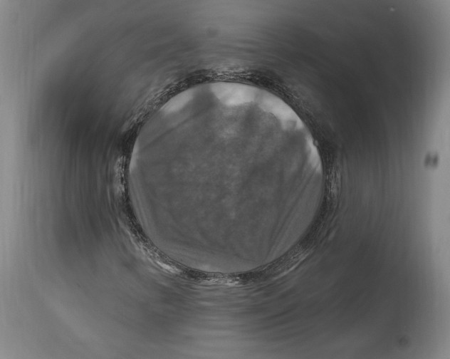 X0000114611346200911171026