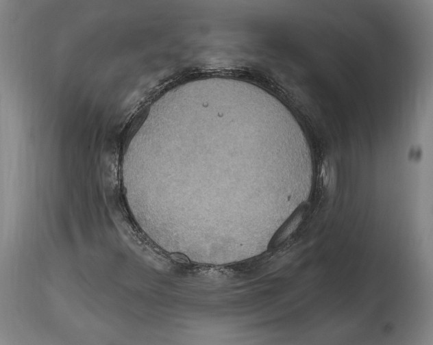 X0000114611348200911171026