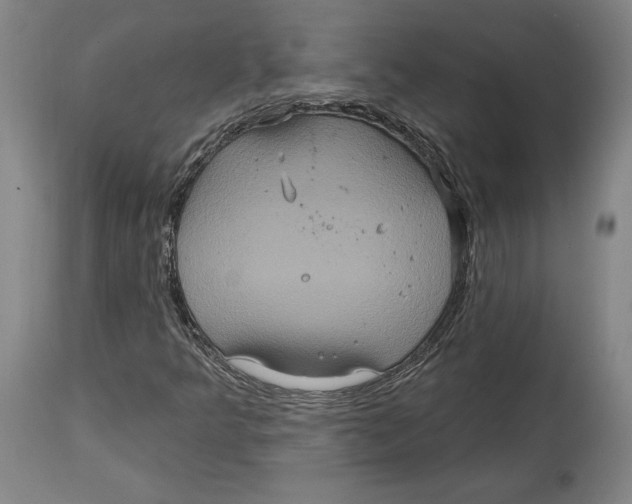 X0000114611349200911171026