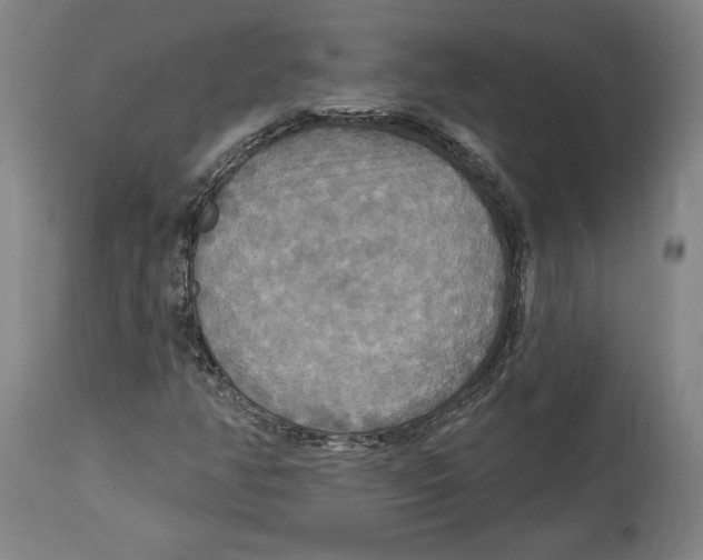 X0000114611350200911171026