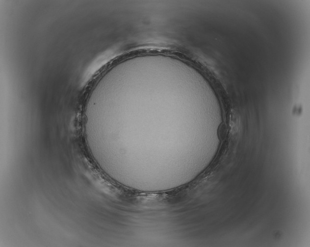 X0000114611352200911171026