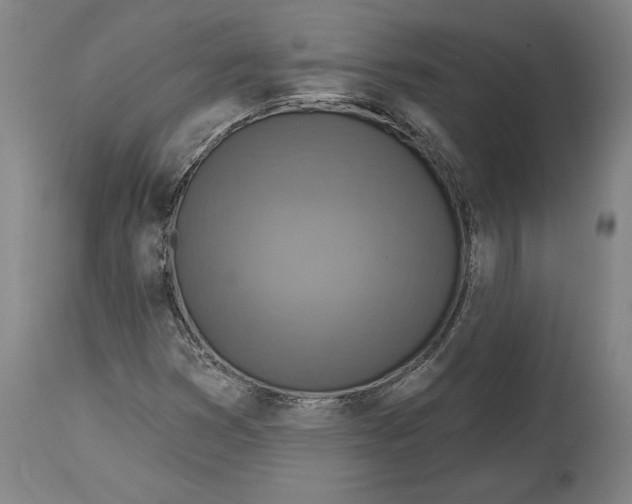 X0000114611353200911171026