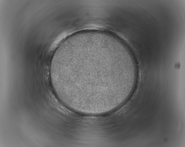 X0000114611355200911171026