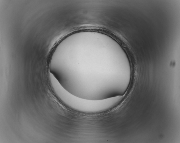 X0000114611357200911171025