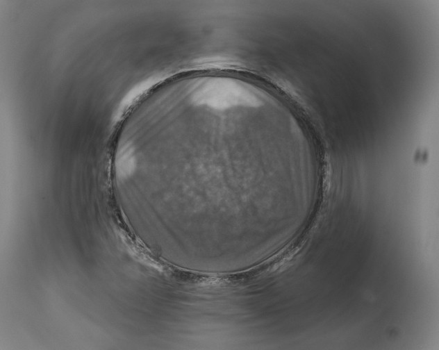 X0000114611358200911171025