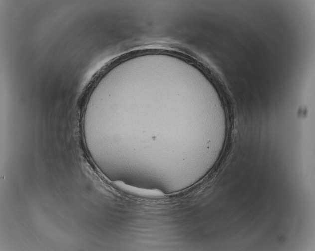 X0000114611360200911171025