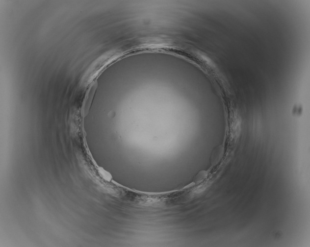 X0000114611361200911171025