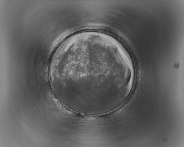 X0000114611362200911171025