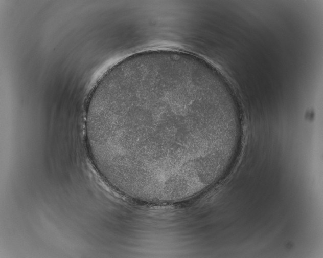 X0000114611363200911171025