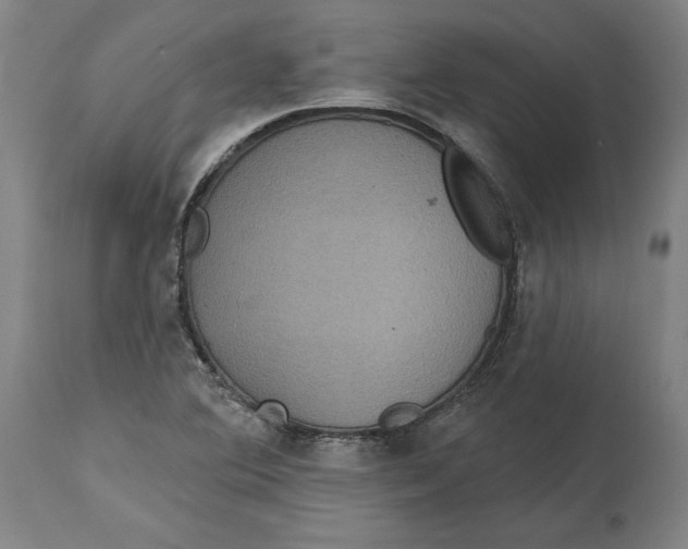 X0000114611364200911171025