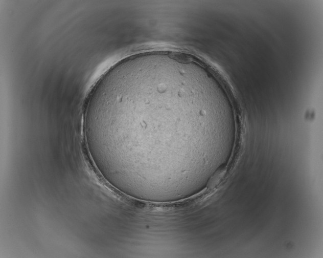 X0000114611365200911171025