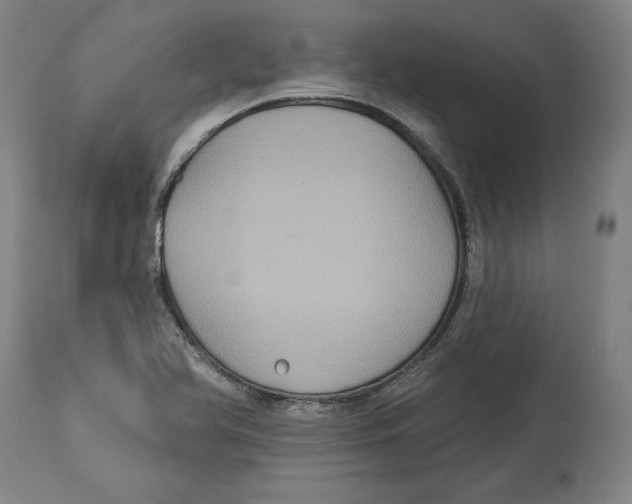 X0000114611366200911171025