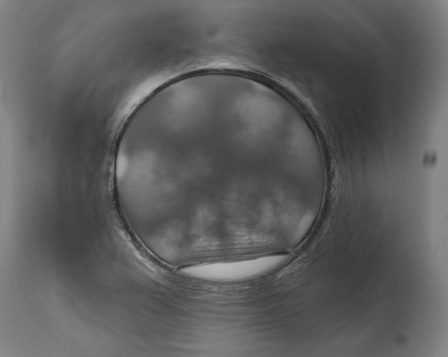 X0000114611367200911171025