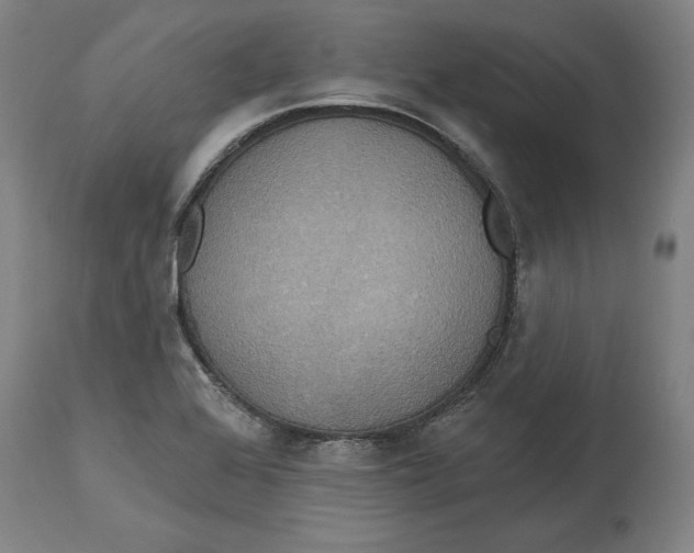 X0000114611368200911171025